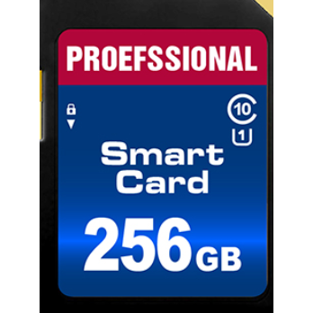 256 GB SD atminties kortelė