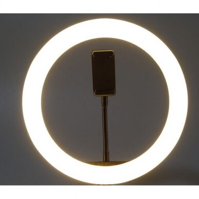 žiedinė 30 cm LED lempa